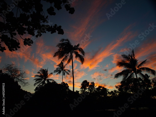 Hawaii Big Island Sunset Palms Moon-20
