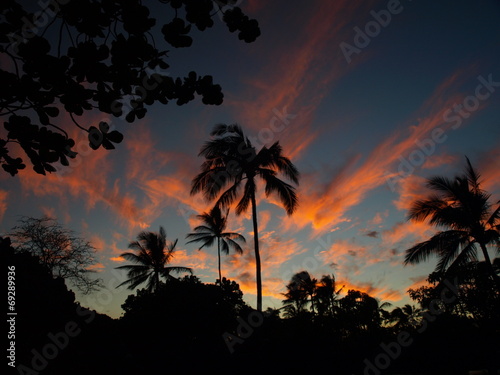 Hawaii Big Island Sunset Palms Moon-19