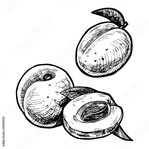 apricot