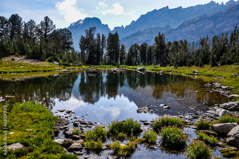 Fototapeta premium Paintbrush Canyon Trail in Grand Tetons National Park, Wyoming,