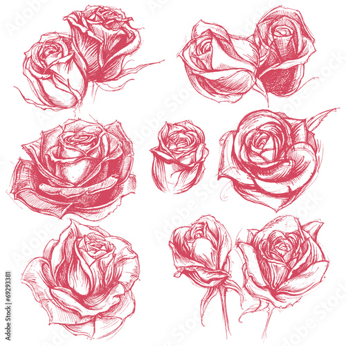 Roses Drawing set 001