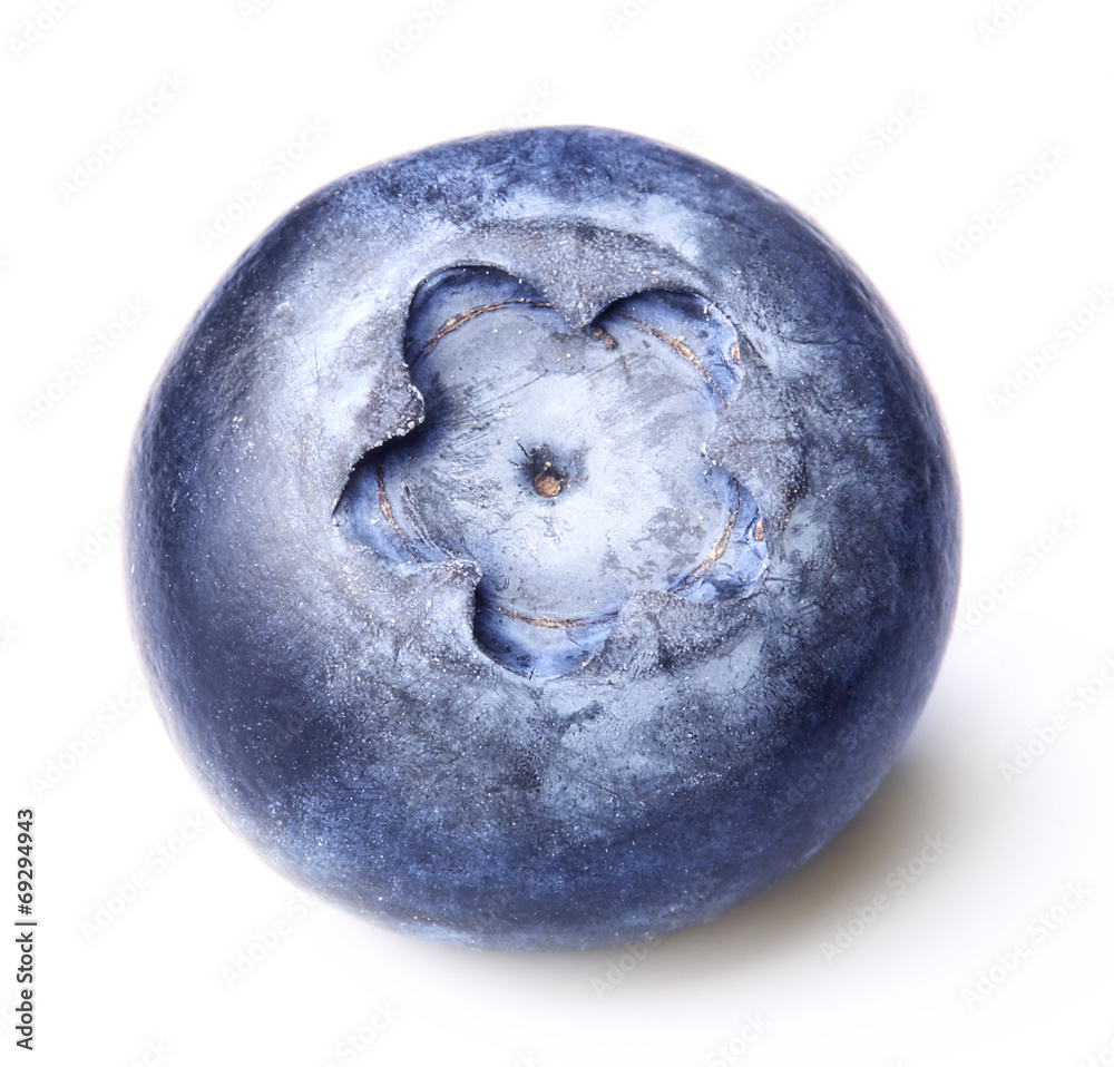 Blueberry isolated Blueberry isolated