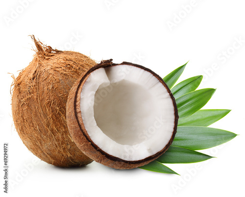 Coconut with palm leaves