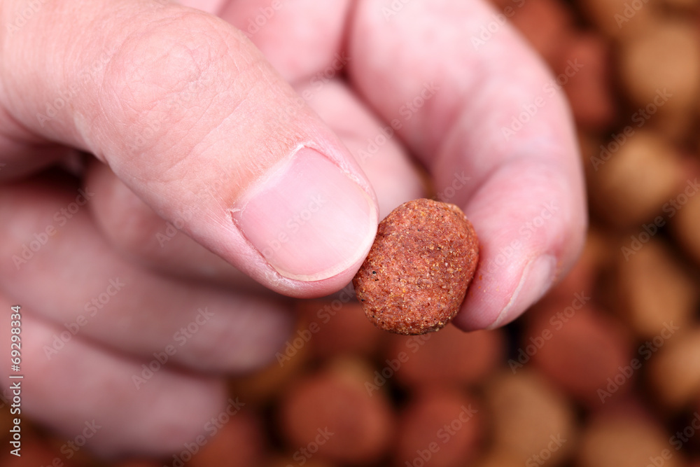 Dog food in the fingers above dog food background Dog food in the fingers above dog food background