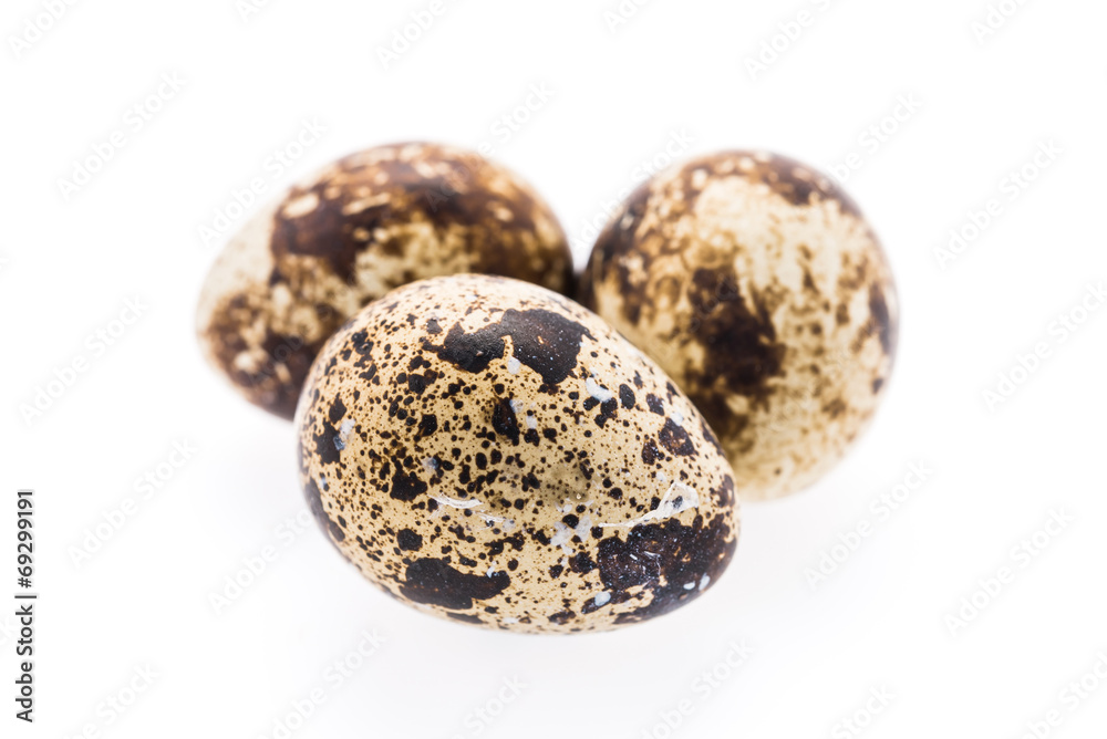 Quail eggs isolated