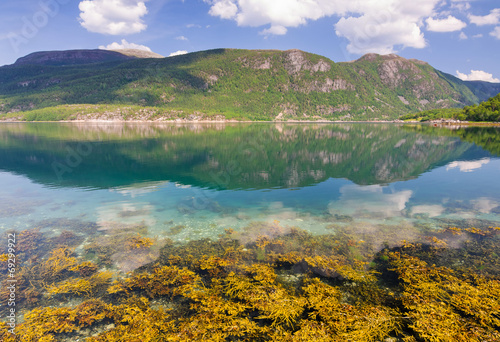 Norway fjord in summer