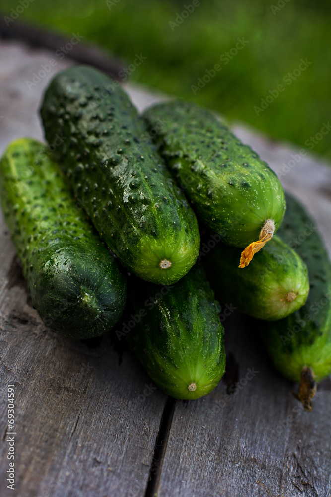cucumbers cucumbers
