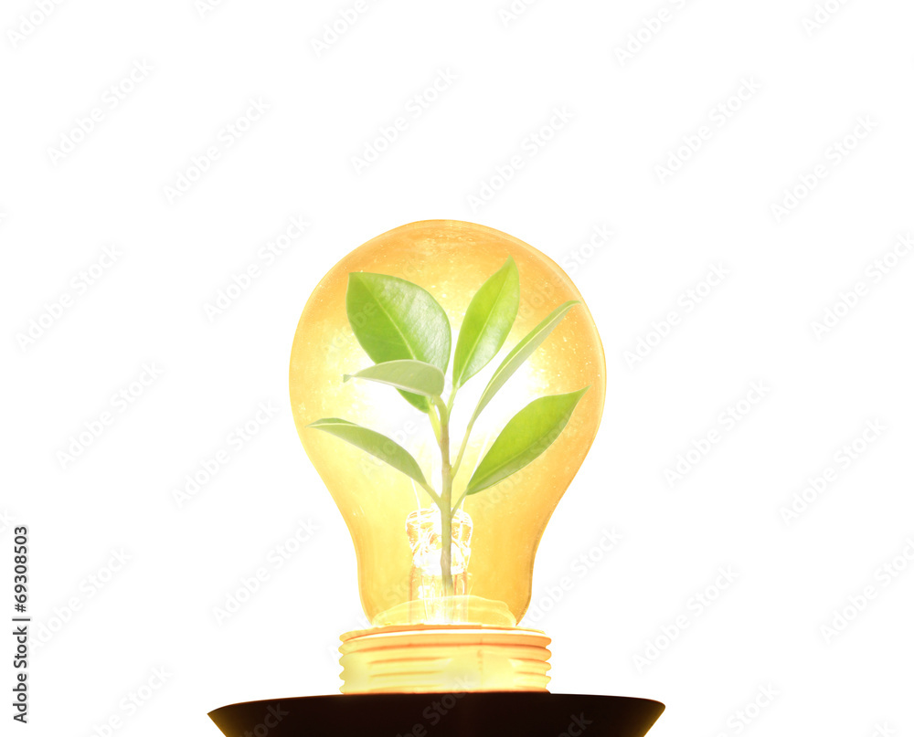 Fototapeta premium Clean energy concept