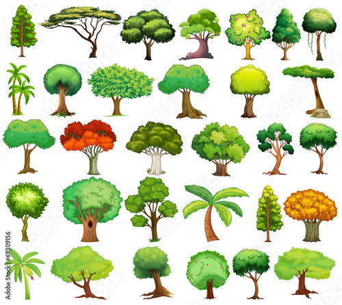 Set of trees