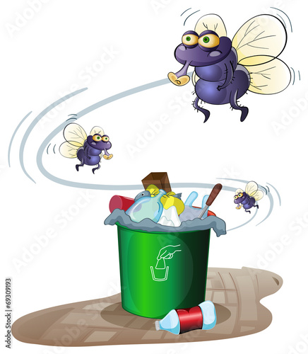 Garbage and flies