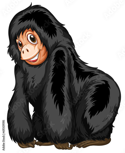 Black ape