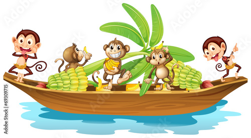 Monkey on boat