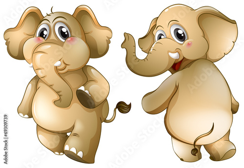 Elephants