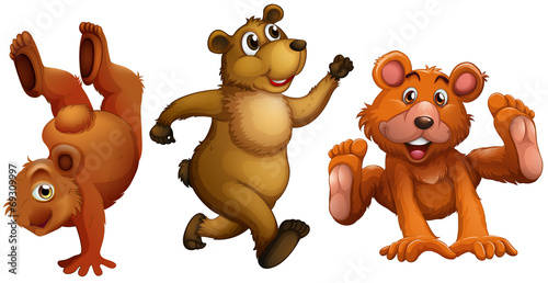 Bear set