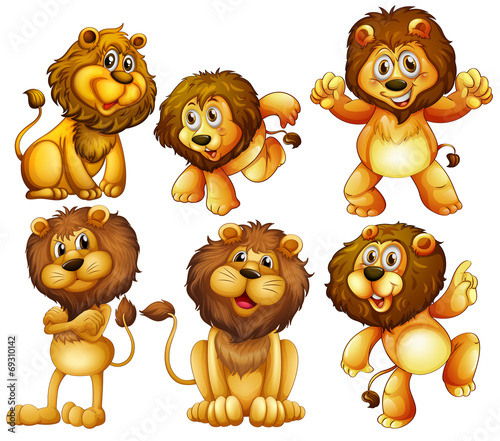 Fototapeta Naklejka Na Ścianę i Meble -  Lion set