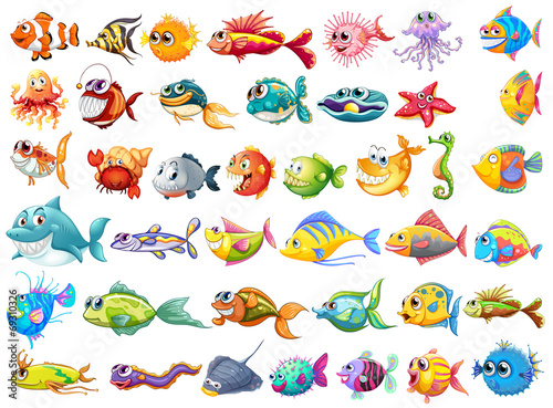 Fish collection #69310326