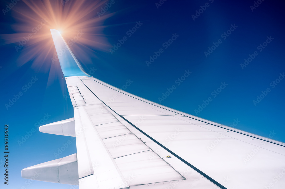 The plane's wings The plane's wings