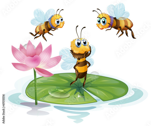 Lotus and bees