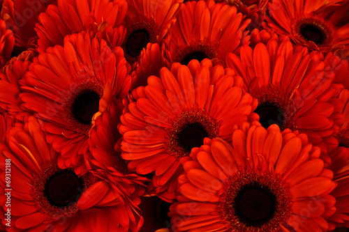 A bouquet of gerberas. Floral background.