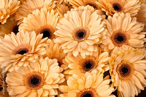 A bouquet of gerberas. Floral background.