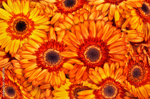 A bouquet of gerberas. Floral background.