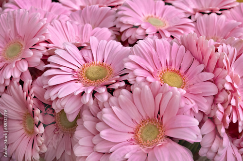 A bouquet of gerberas. Floral background.