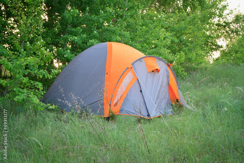 Camoing tent in the forest
