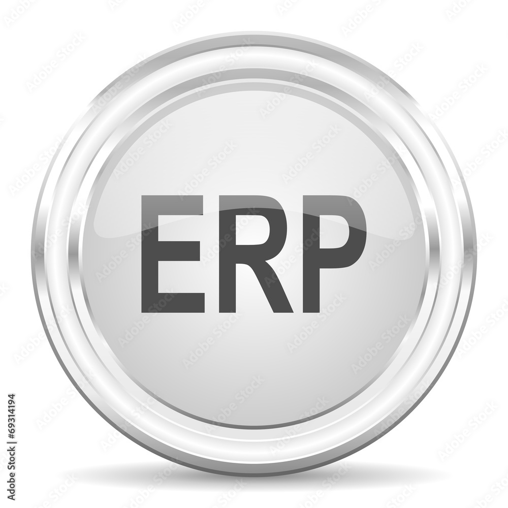 erp internet icon erp internet icon