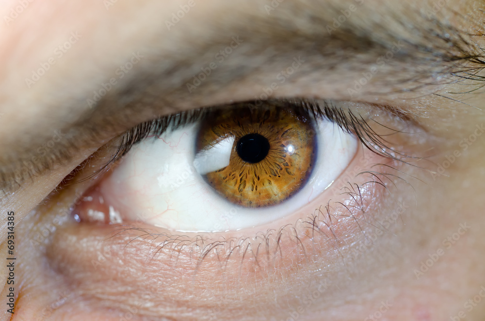 Fototapeta premium tęczówki gniewne oko