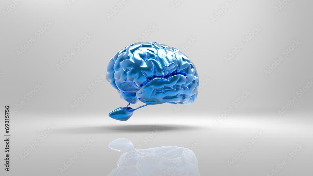 Brain