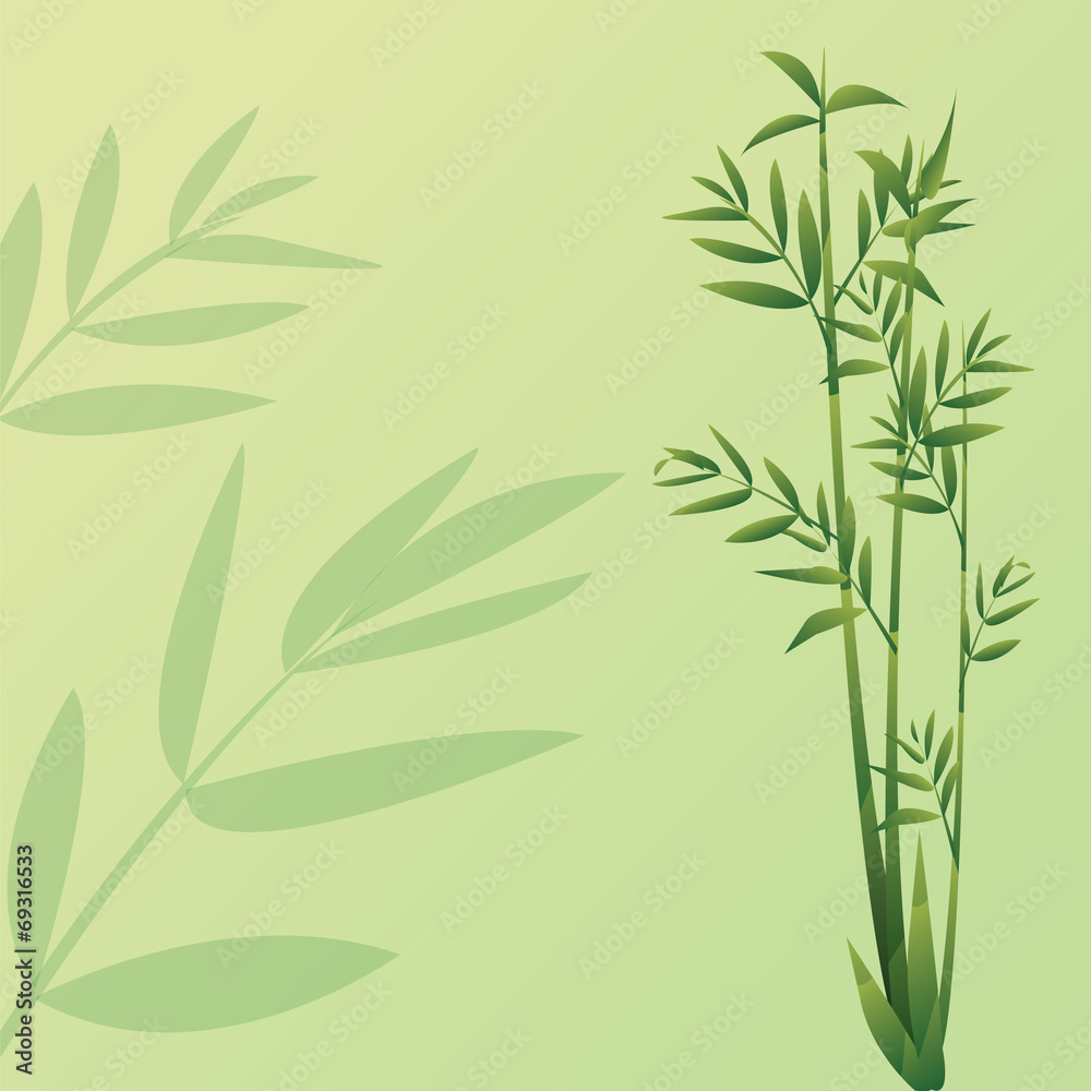 Obraz premium Bamboo Background
