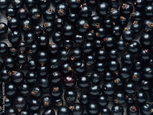 Black currant © Alex Photo