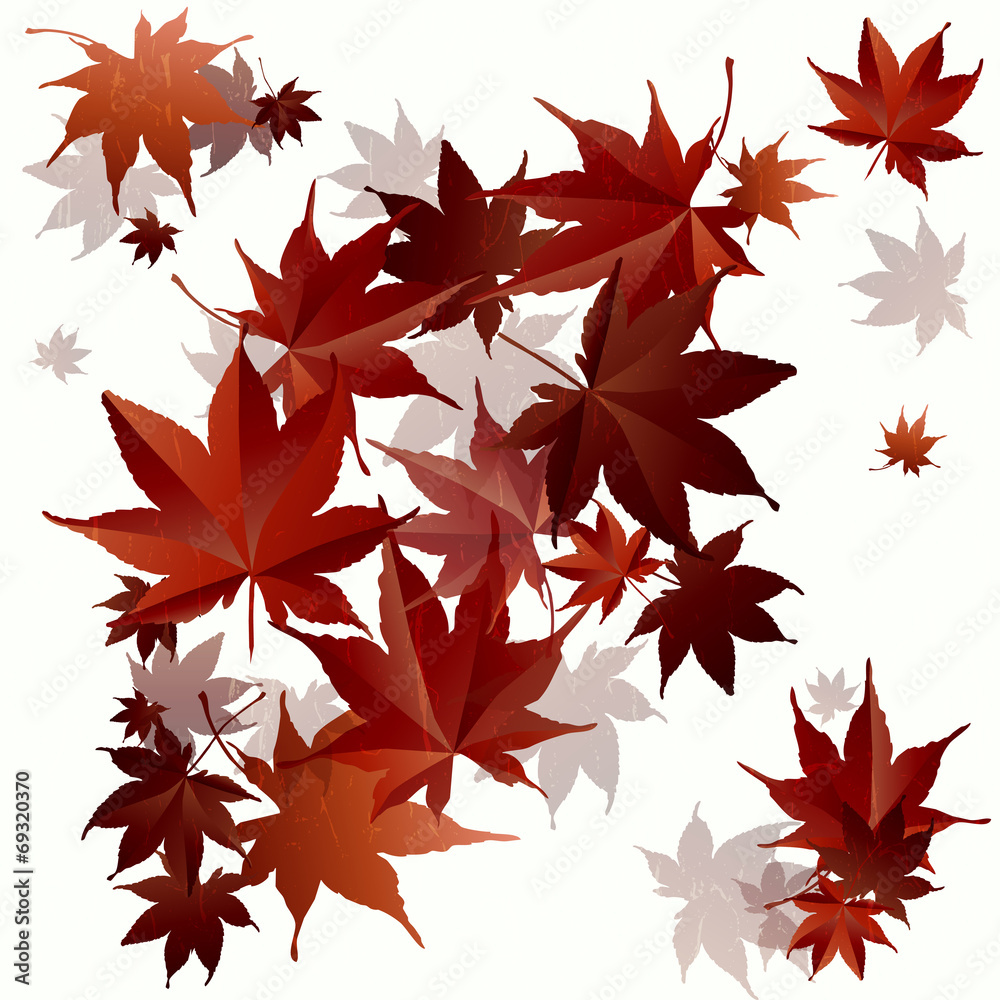 紅葉 もみじ 秋 紅葉 もみじ 秋