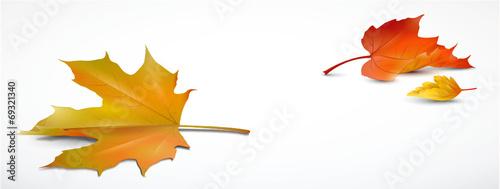 Herbstlaub