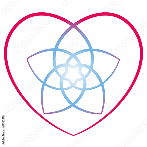 Flower of the Venus Heart