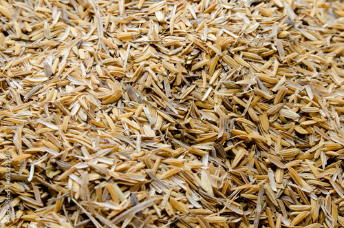 rice husk