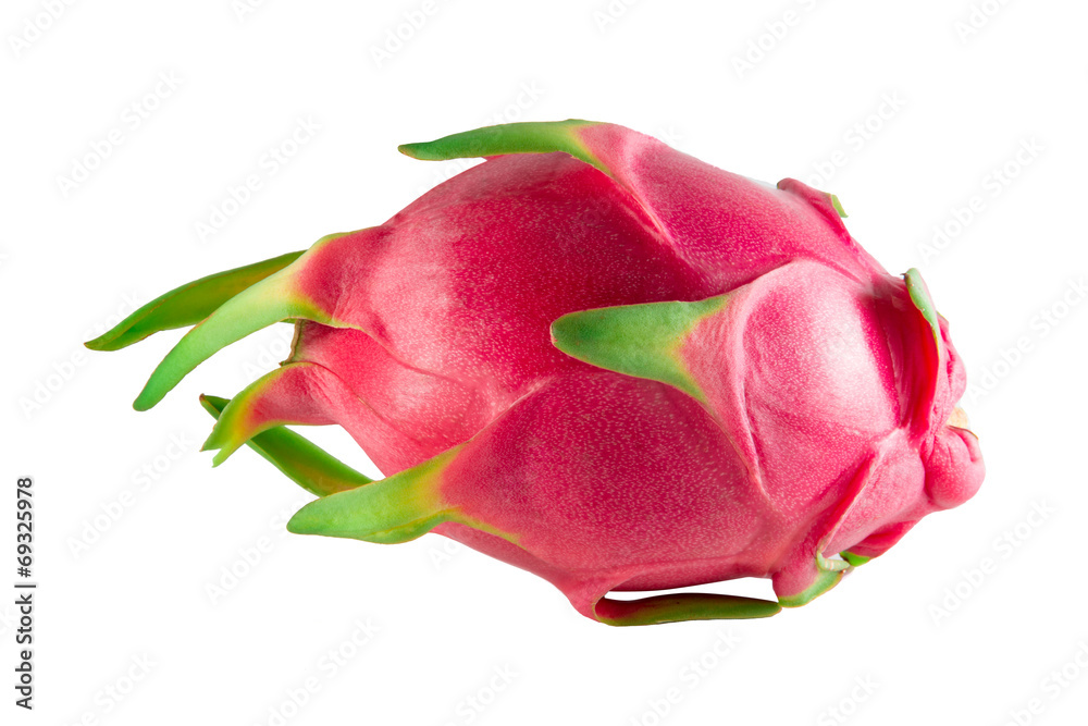 Dragon Fruit Dragon Fruit