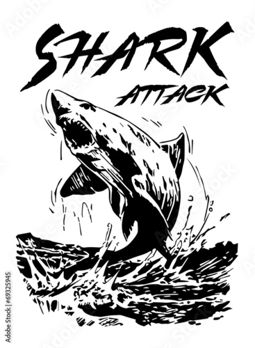 Shark Attack
