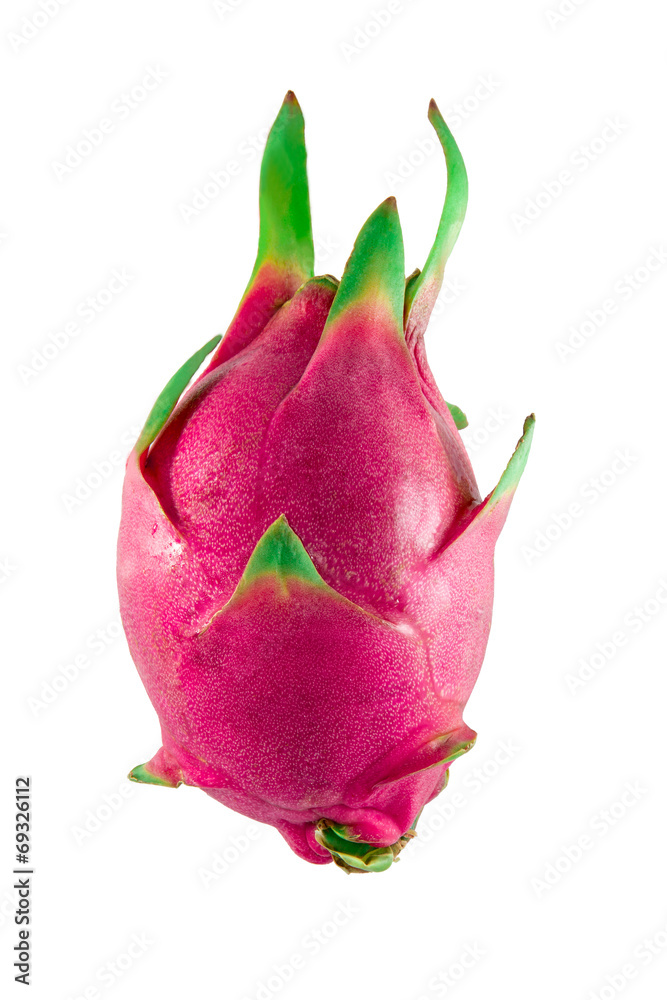 Dragon Fruit Dragon Fruit