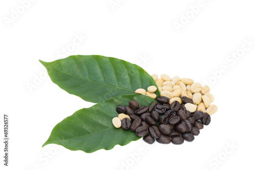 Coffee and leaf isolated