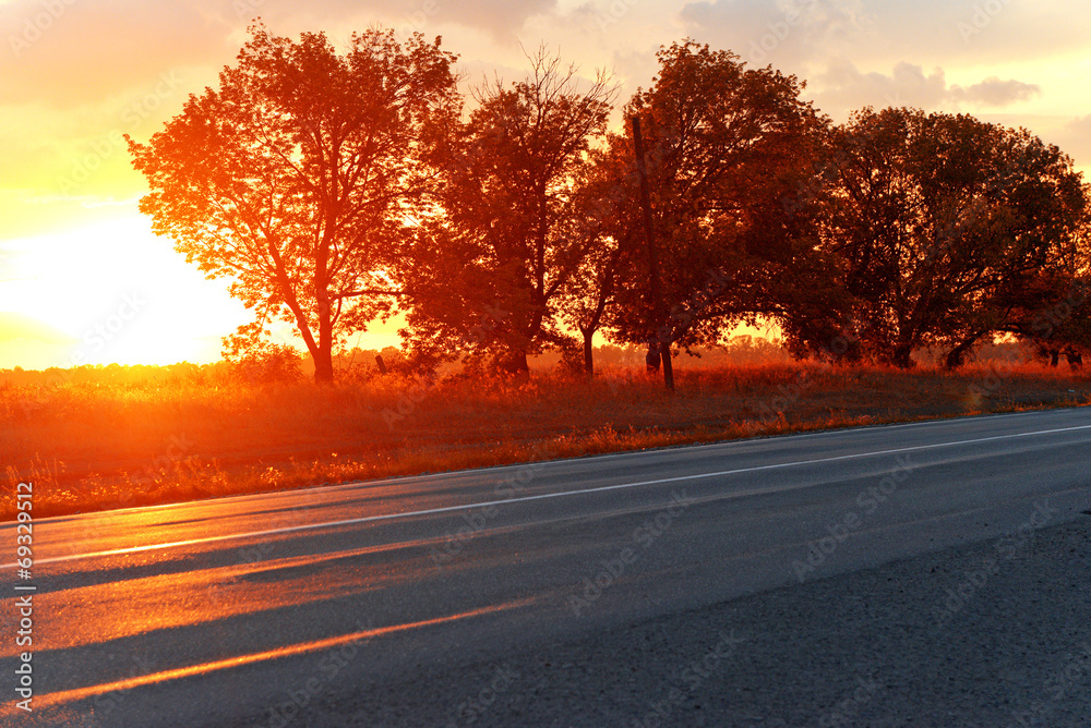 Sunset and road with trees