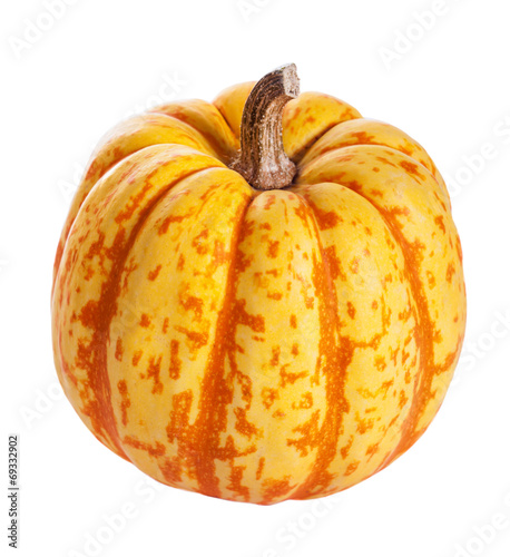 autumn halloween pumpkins isolated