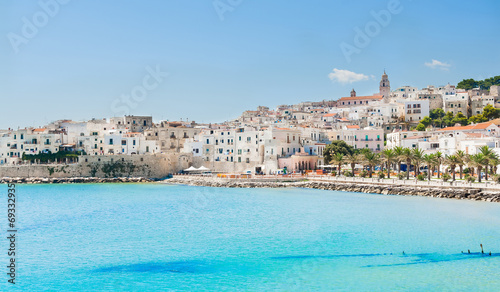 Panoramic view of Vieste