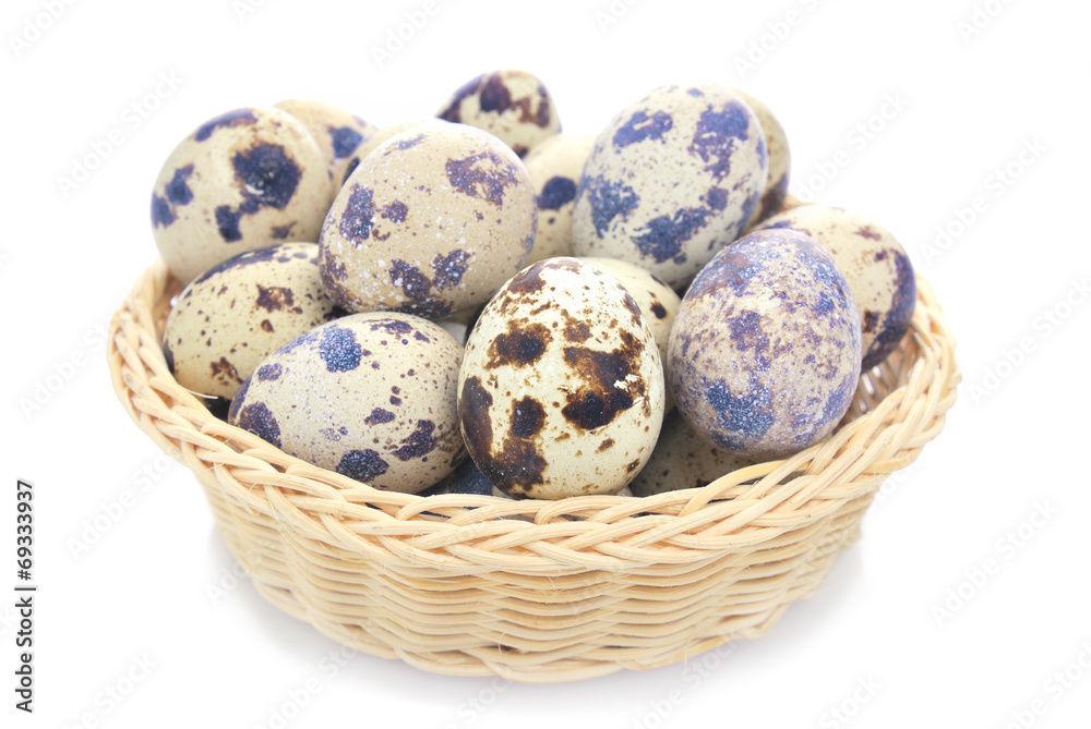 Obraz premium Quail Egg