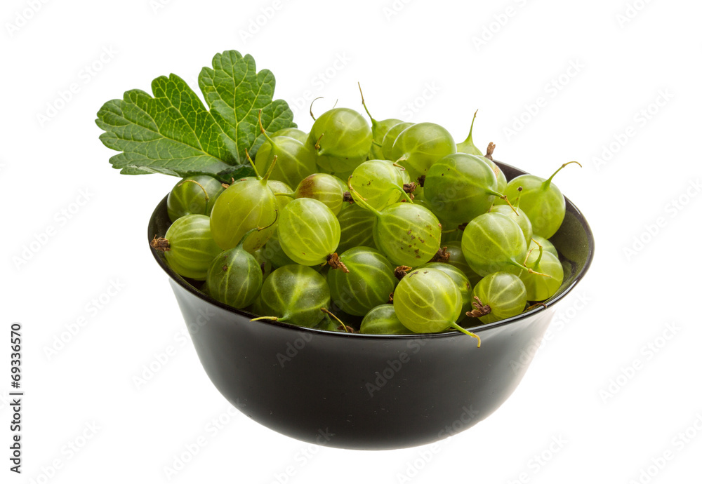 Gooseberry Gooseberry