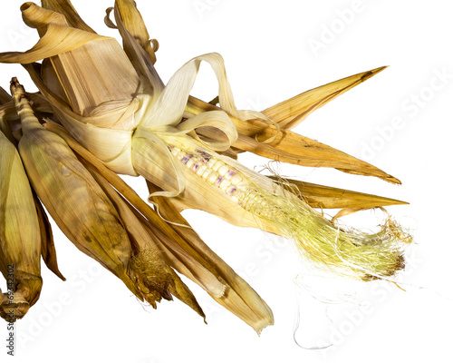 Ears of Corn pile . One peel show seed.Top view shot.