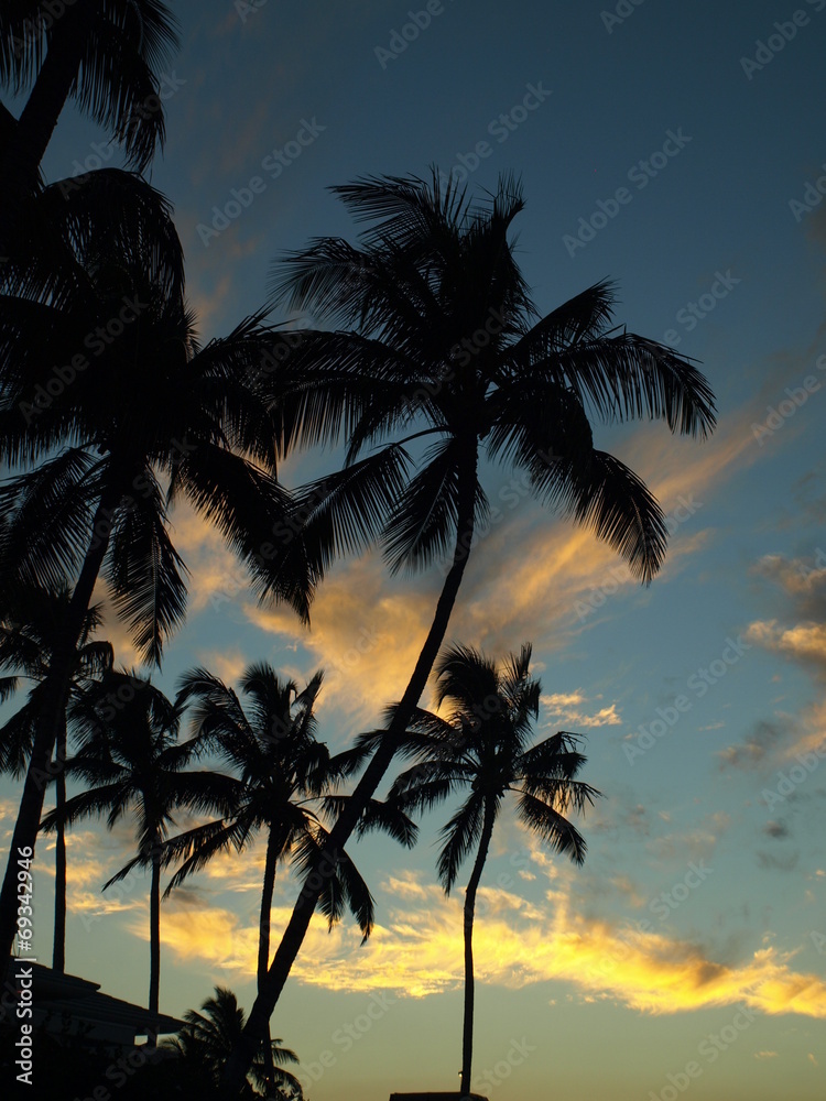 Hawaii Big Island Sunset Palms Moon-11
