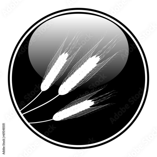 Wheat button