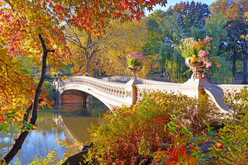 Canvas schilderij Central Park Herfstbladeren in Manhattan park  © nyker