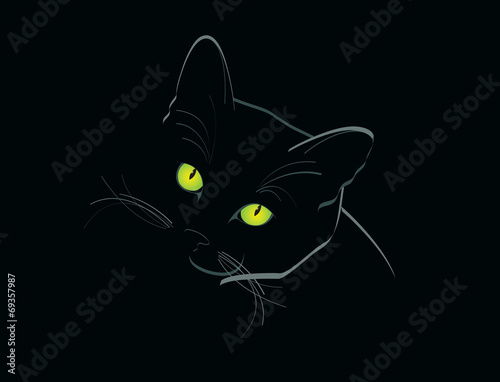 cat face with green eyes